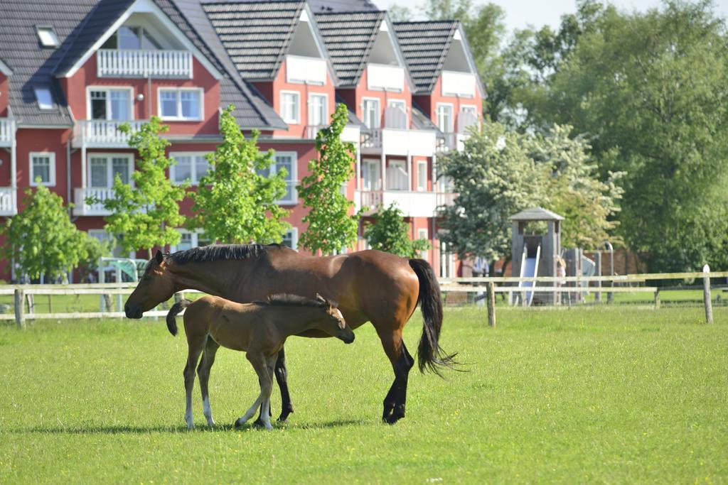 Strandhafer Aparthotel Rostock Extérieur photo