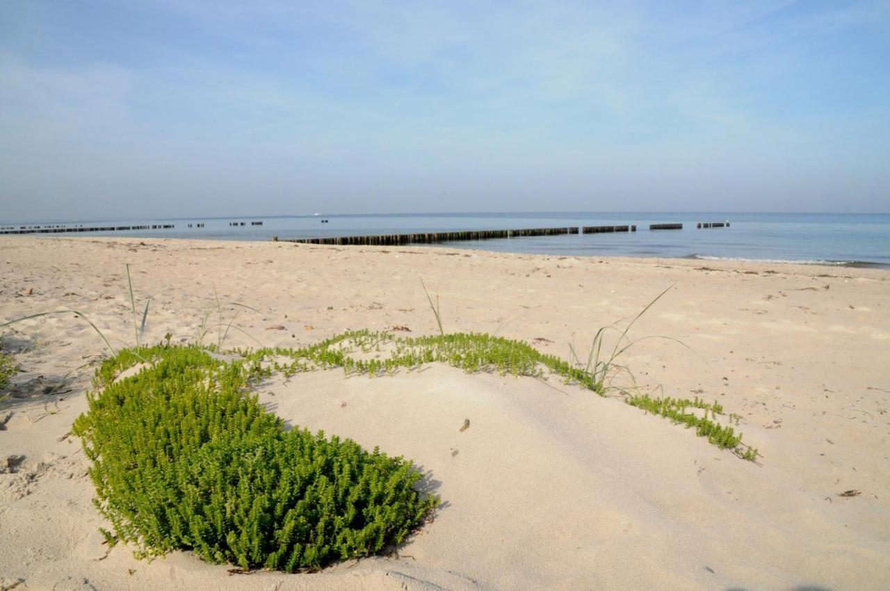 Strandhafer Aparthotel Rostock Extérieur photo